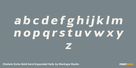 Chatwin Extra Bold Semi Expanded Italic Thumbnail #3