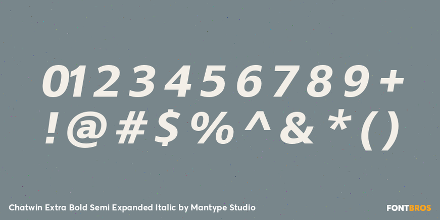 Chatwin Extra Bold Semi Expanded Italic Font Poster #4