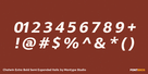 Chatwin Extra Bold Semi Expanded Italic Thumbnail #4