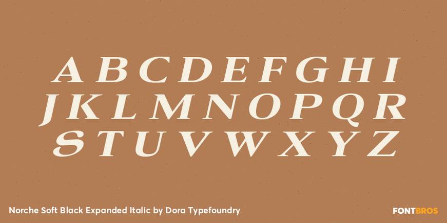Norche Soft Black Expanded Italic Font Poster #2