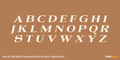 Norche Soft Black Expanded Italic Thumbnail #2