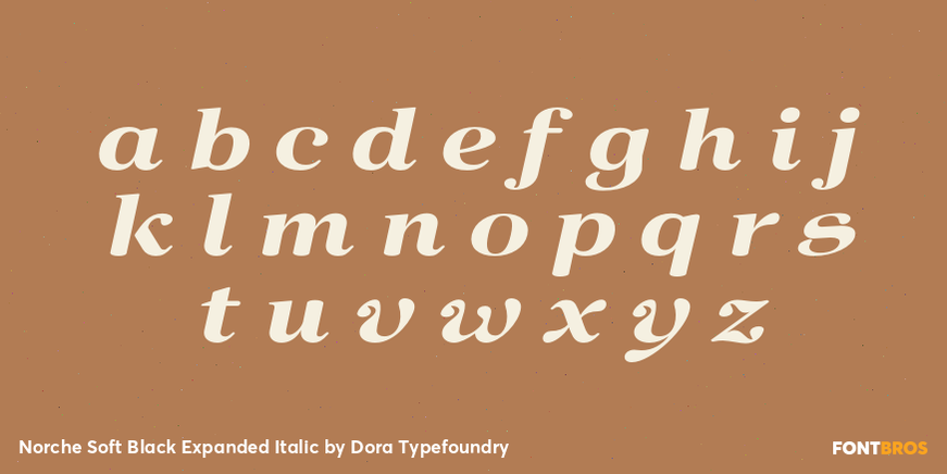 Norche Soft Black Expanded Italic Font Poster #3