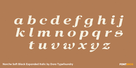 Norche Soft Black Expanded Italic Thumbnail #3