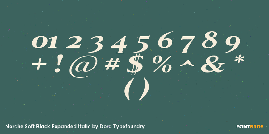 Norche Soft Black Expanded Italic Font Poster #4