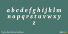 Traction Black Italic Thumbnail #3
