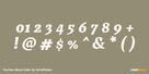 Traction Black Italic Thumbnail #4