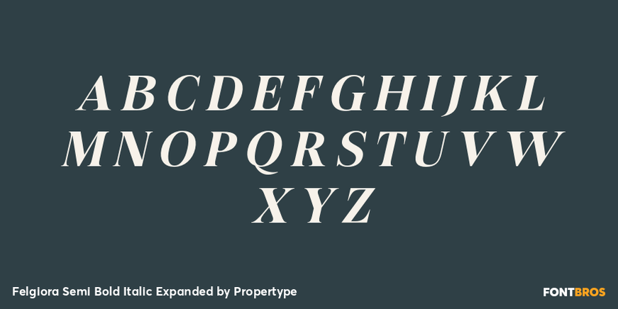 Felgiora Semi Bold Italic Expanded Font Poster #2