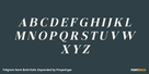 Felgiora Semi Bold Italic Expanded Thumbnail #2