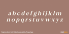 Felgiora Semi Bold Italic Expanded Thumbnail #3