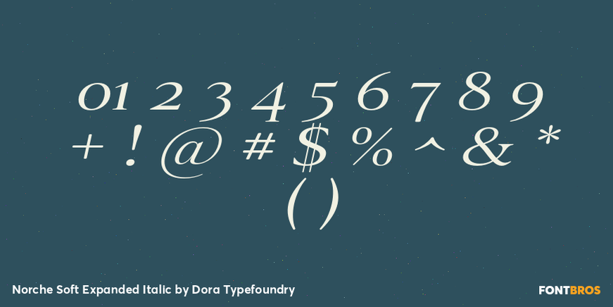 Norche Soft Expanded Italic Font Poster #4