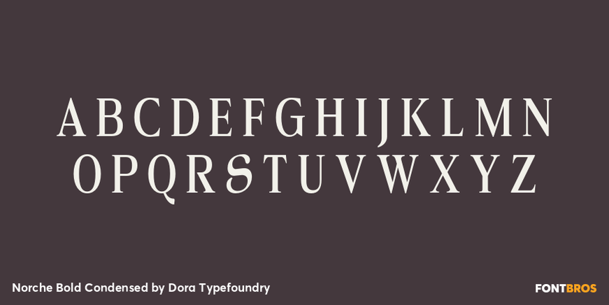 Norche Bold Condensed Font Poster #2