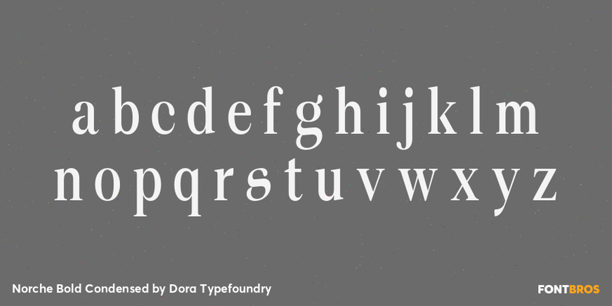 Norche Bold Condensed Font Poster #3