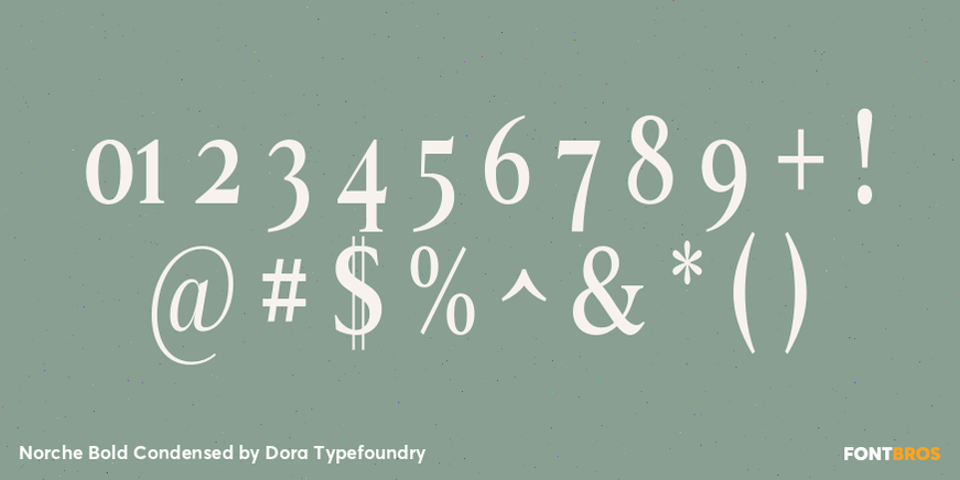 Norche Bold Condensed Font Poster #4