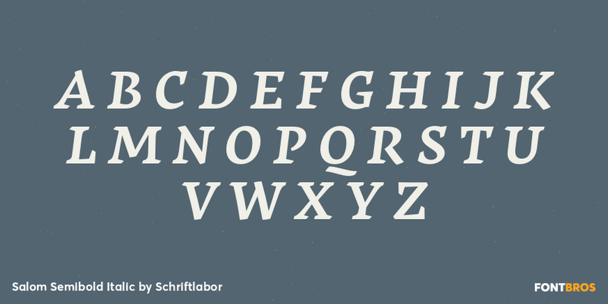 Salom Semibold Italic Font Poster #2