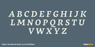 Salom Semibold Italic Thumbnail #2
