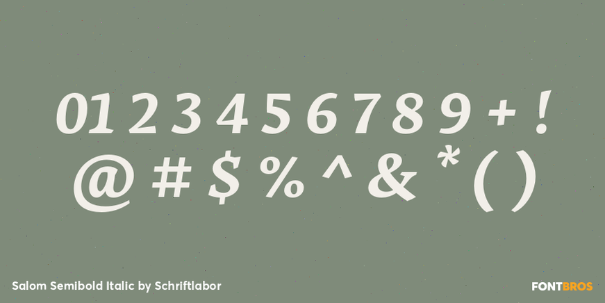 Salom Semibold Italic Font Poster #4