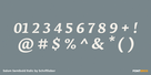 Salom Semibold Italic Thumbnail #4