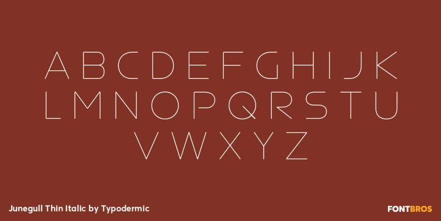Junegull Thin Italic Font Poster #2