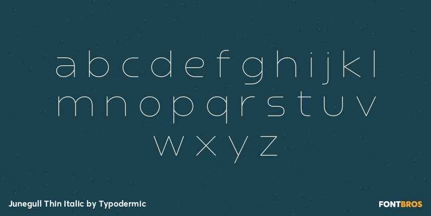 Junegull Thin Italic Font Poster #3