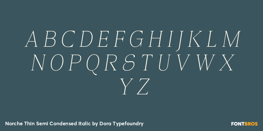 Norche Thin Semi Condensed Italic Font Poster #2