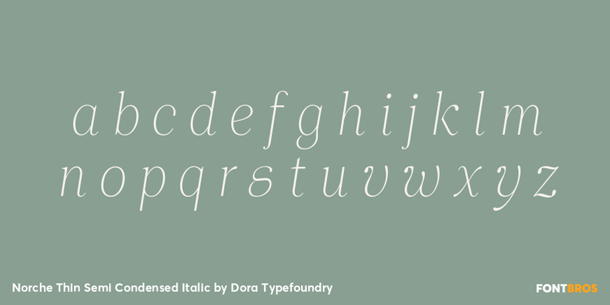 Norche Thin Semi Condensed Italic Font Poster #3