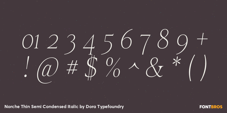 Norche Thin Semi Condensed Italic Font Poster #4