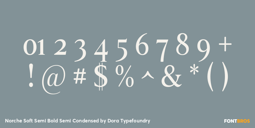 Norche Soft Semi Bold Semi Condensed Font Poster #4