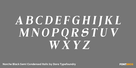 Norche Black Semi Condensed Italic Thumbnail #2