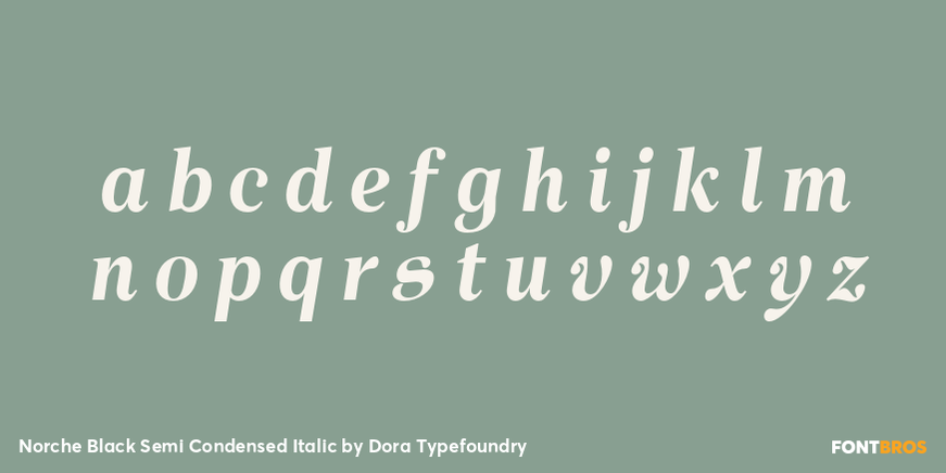 Norche Black Semi Condensed Italic Font Poster #3