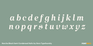 Norche Black Semi Condensed Italic Thumbnail #3