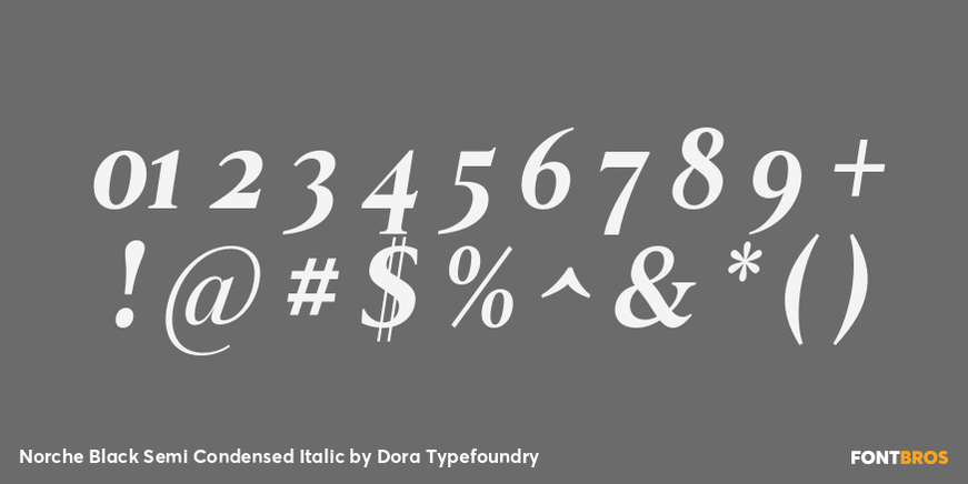 Norche Black Semi Condensed Italic Font Poster #4