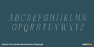 Artrend Thin Condensed Slanted Thumbnail #2