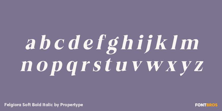 Felgiora Soft Bold Italic Font Poster #3