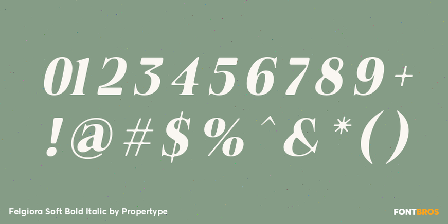 Felgiora Soft Bold Italic Font Poster #4
