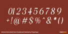Artrend Extra Bold Semi Condensed Slanted Thumbnail #4