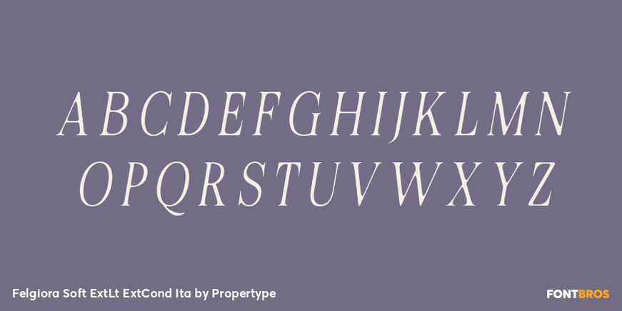 Felgiora Soft ExtLt ExtCond Ita Font Poster #2
