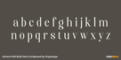 Artrend Soft Bold Semi Condensed Thumbnail #3