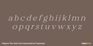 Felgiora Thin Italic Extra Expanded Thumbnail #3