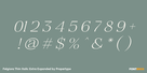 Felgiora Thin Italic Extra Expanded Thumbnail #4