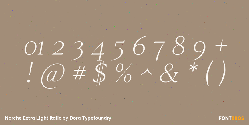 Norche Extra Light Italic Font Poster #4