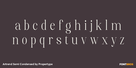 Artrend Semi Condensed Thumbnail #3