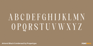 Artrend Black Condensed Thumbnail #2