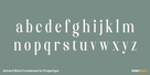 Artrend Black Condensed Thumbnail #3