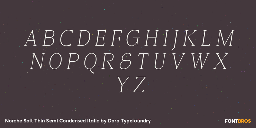 Norche Soft Thin Semi Condensed Italic Font Poster #2