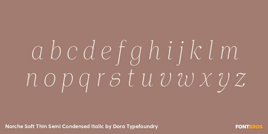 Norche Soft Thin Semi Condensed Italic Font Poster #3