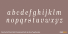 Norche Soft Semi Bold Condensed Italic Thumbnail #3