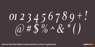 Norche Soft Semi Bold Condensed Italic Thumbnail #4