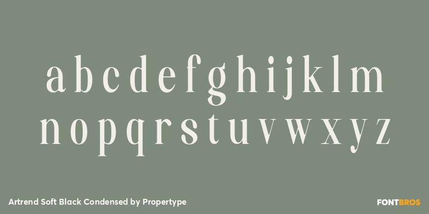 Artrend Soft Black Condensed Font Poster #3