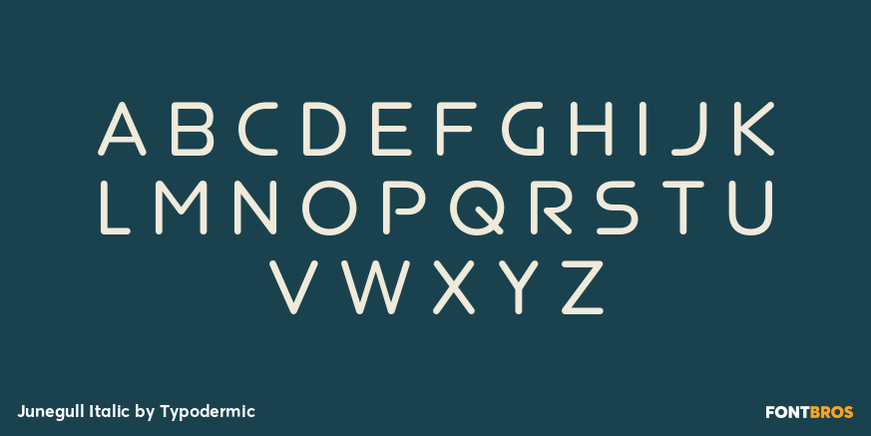 Junegull Italic Font Poster #2