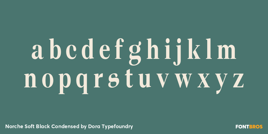 Norche Soft Black Condensed Font Poster #3